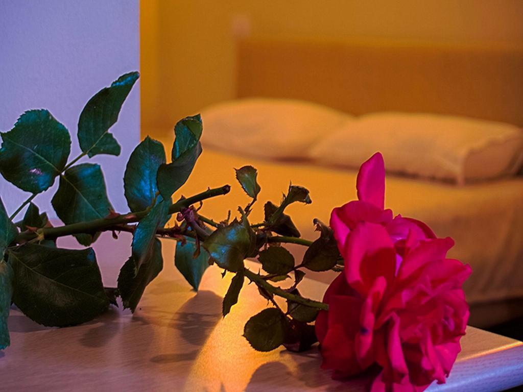 Kriva Resort 爱尔巴桑 外观 照片