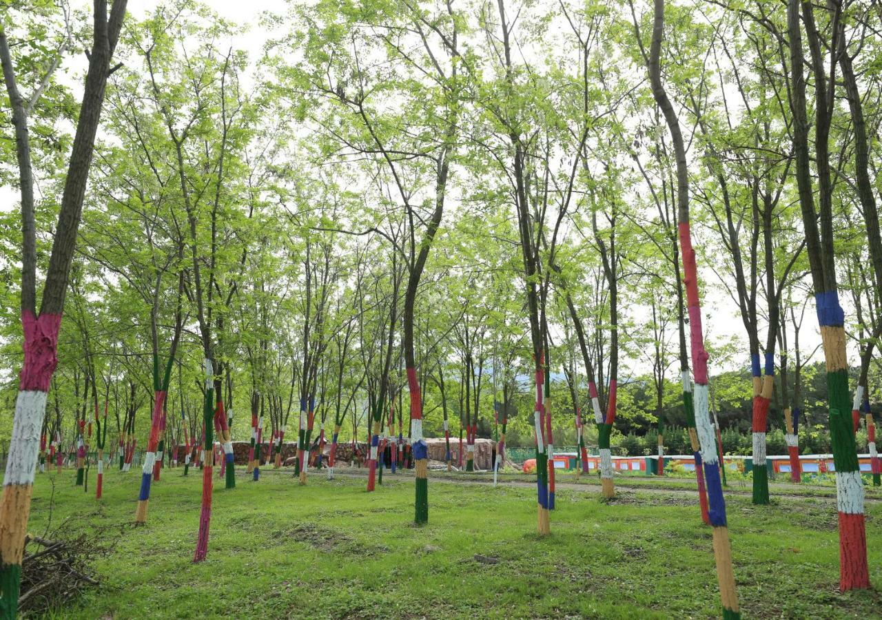 Kriva Resort 爱尔巴桑 外观 照片